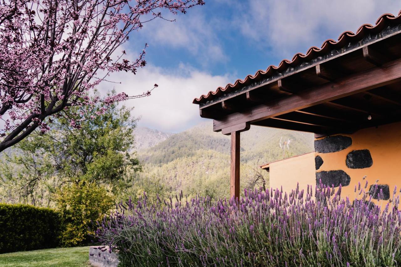 Casa Elena Villa Тихарафе Екстериор снимка