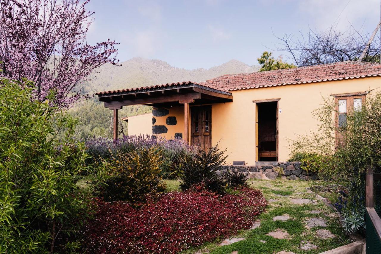 Casa Elena Villa Тихарафе Екстериор снимка